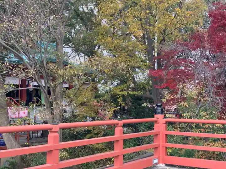 多摩川浅間神社の自然