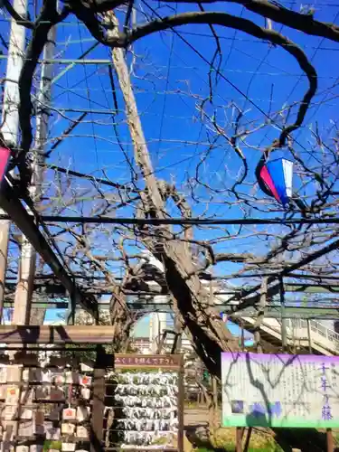 國領神社(東京都)