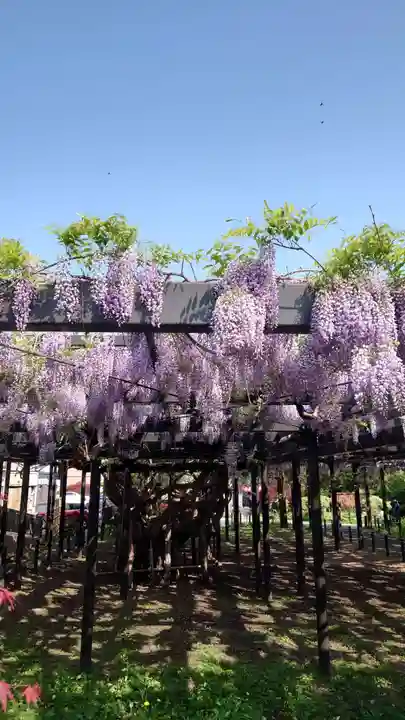 相馬神社(北海道)