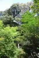 八幡宮(山口県)