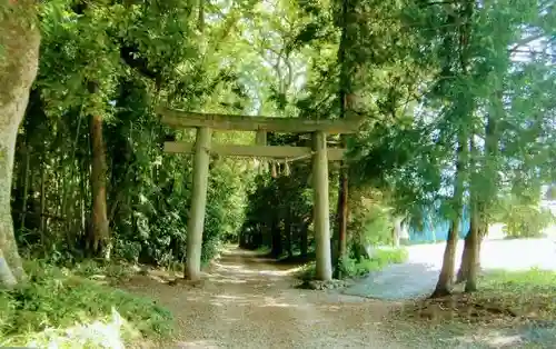 子安神社の鳥居