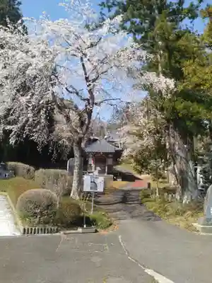 瑞雲寺(宮城県)