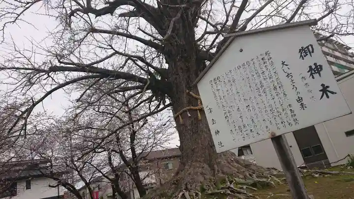 津島神社の自然