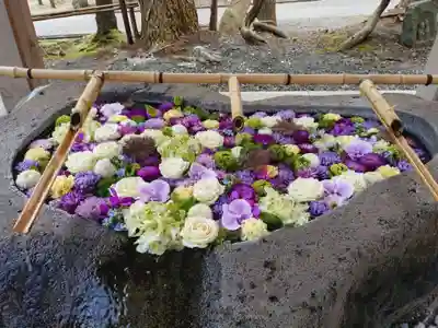 千歳神社(北海道)