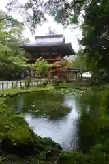 室生寺の庭園