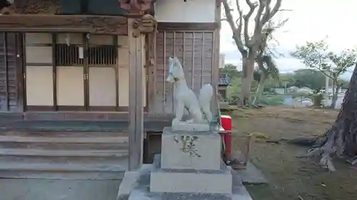 稲荷神社（今井）の狛犬