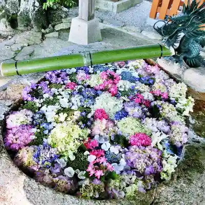 立志神社の手水舎