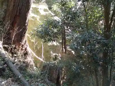 陰陽神社(茨城県)