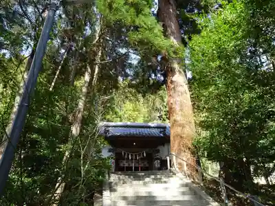 田間神社の本殿・本堂