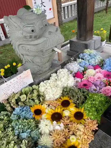 新川皇大神社の手水