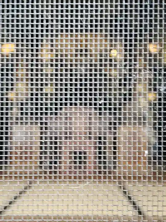 宗泉寺(栃木県)