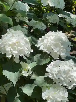 建長寺(神奈川県)