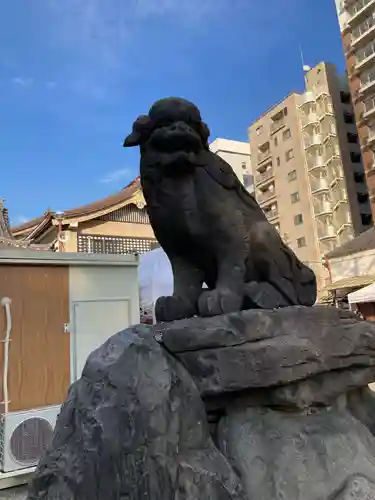 浅草神社の狛犬