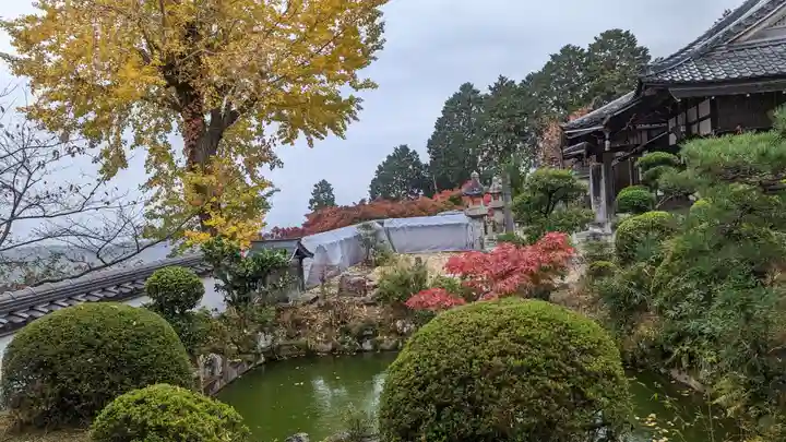 三鈷寺(京都府)