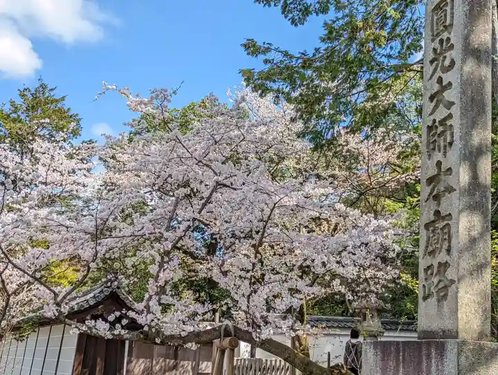 知恩院(京都府)