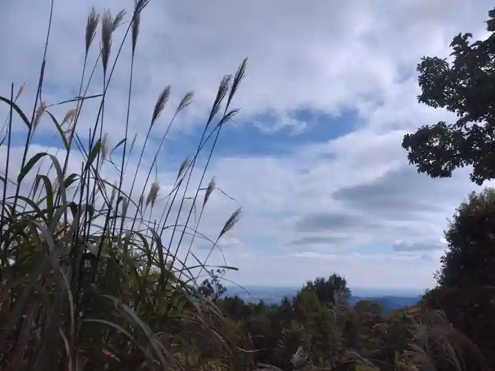 高尾山薬王院の自然