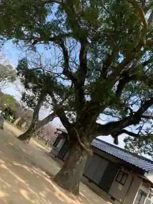 梶返天満宮の自然