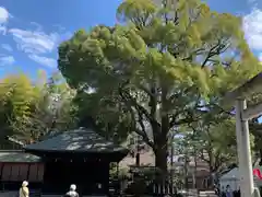 常磐神社(茨城県)