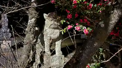 八幡神社(徳島県)