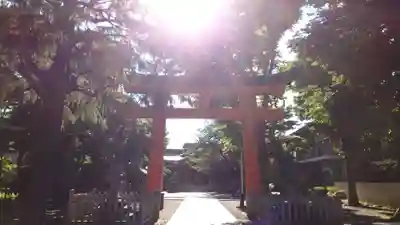 旗岡八幡神社(東京都)