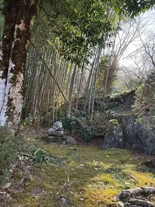 西円寺の{uncategorized: "未分類", other: "その他", undefined: "問題あり", building: "その他建物", grave: "お墓", sacred_gate: "鳥居", guardian: "狛犬", statue: "像", buddha: "仏像", history: "歴史", nature: "自然", garden: "庭園", animal: "動物", pagoda: "塔", temizu: "手水舎", mountain_gate: "山門・神門", sanctuary: "本殿・本堂", subordinate: "末社・摂社", art: "芸術", scenery: "景色", jizo: "地蔵", ema: "絵馬", goshuin: "御朱印", omikuji: "おみくじ", items: "授与品その他", amulet: "お守り", goshuincho: "御朱印帳", eats: "食事", festival: "お祭り", votive_dance: "神楽", shichigosan: "七五三参", wedding: "結婚式", experience: "体験その他", initially: "初詣", around: "周辺", anti_infection: "感染症対策"}