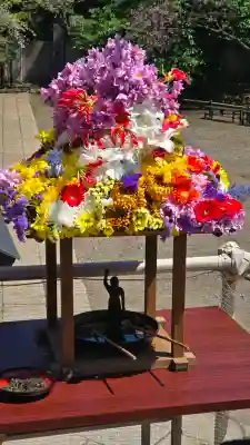 新井薬師（梅照院）の{uncategorized: "未分類", other: "その他", undefined: "問題あり", building: "その他建物", grave: "お墓", sacred_gate: "鳥居", guardian: "狛犬", statue: "像", buddha: "仏像", history: "歴史", nature: "自然", garden: "庭園", animal: "動物", pagoda: "塔", temizu: "手水舎", mountain_gate: "山門・神門", sanctuary: "本殿・本堂", subordinate: "末社・摂社", art: "芸術", scenery: "景色", jizo: "地蔵", ema: "絵馬", goshuin: "御朱印", omikuji: "おみくじ", items: "授与品その他", amulet: "お守り", goshuincho: "御朱印帳", eats: "食事", festival: "お祭り", votive_dance: "神楽", shichigosan: "七五三参", wedding: "結婚式", experience: "体験その他", initially: "初詣", around: "周辺", anti_infection: "感染症対策"}