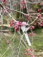 国宝 大法寺(長野県)