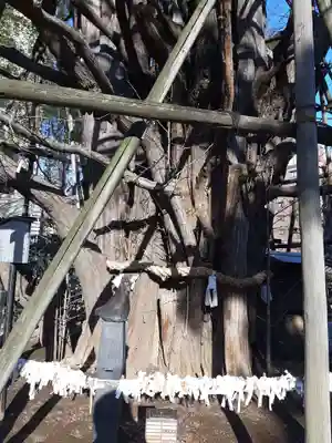 稲毛神社のその他建物