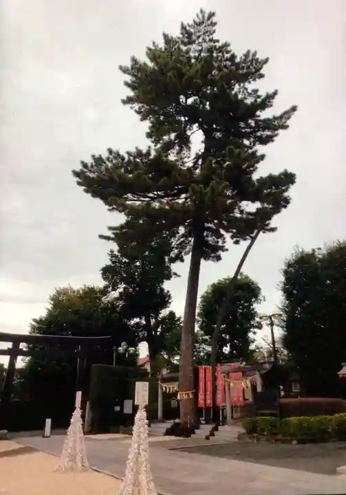 中野沼袋氷川神社(東京都)