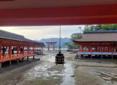 厳島神社(広島県)