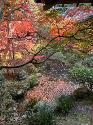 禅林寺（永観堂）の{uncategorized: "未分類", other: "その他", undefined: "問題あり", building: "その他建物", grave: "お墓", sacred_gate: "鳥居", guardian: "狛犬", statue: "像", buddha: "仏像", history: "歴史", nature: "自然", garden: "庭園", animal: "動物", pagoda: "塔", temizu: "手水舎", mountain_gate: "山門・神門", sanctuary: "本殿・本堂", subordinate: "末社・摂社", art: "芸術", scenery: "景色", jizo: "地蔵", ema: "絵馬", goshuin: "御朱印", omikuji: "おみくじ", items: "授与品その他", amulet: "お守り", goshuincho: "御朱印帳", eats: "食事", festival: "お祭り", votive_dance: "神楽", shichigosan: "七五三参", wedding: "結婚式", experience: "体験その他", initially: "初詣", around: "周辺", anti_infection: "感染症対策"}