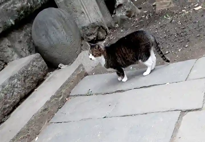 小野照崎神社(東京都)