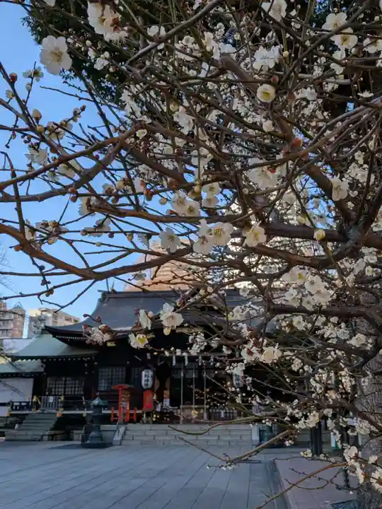 熊野神社(東京都)