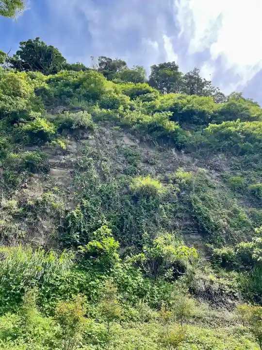 安養院 (田代寺)(神奈川県)
