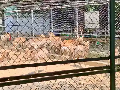 鹿島神宮(茨城県)