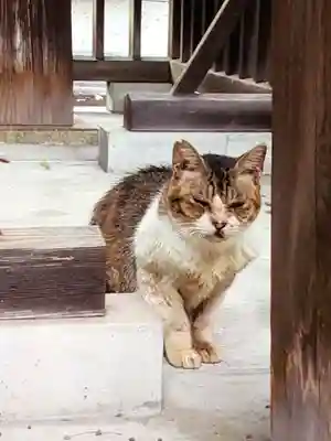 荻窪白山神社(東京都)