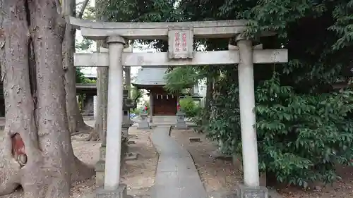 丸子山王日枝神社の鳥居