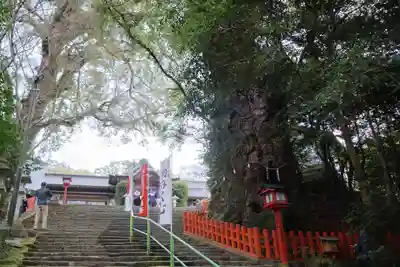 新田神社(鹿児島県)