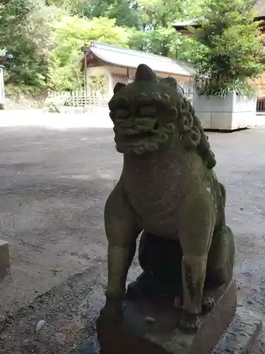 大崎八幡宮の狛犬