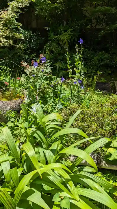 證安院(京都府)