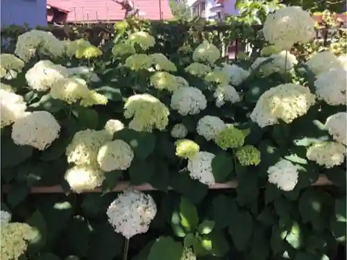 日吉八王子神社の自然
