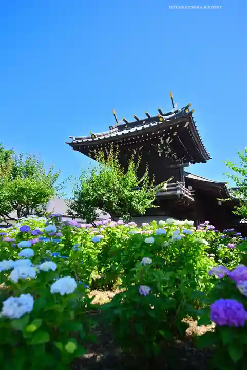 白山神社(東京都)