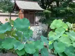 西林寺の本殿