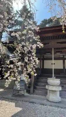 金剛寺(大阪府)