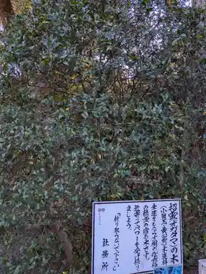 息栖神社(茨城県)