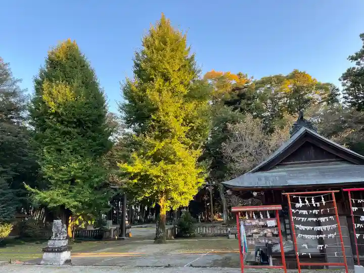 大神神社(栃木県)