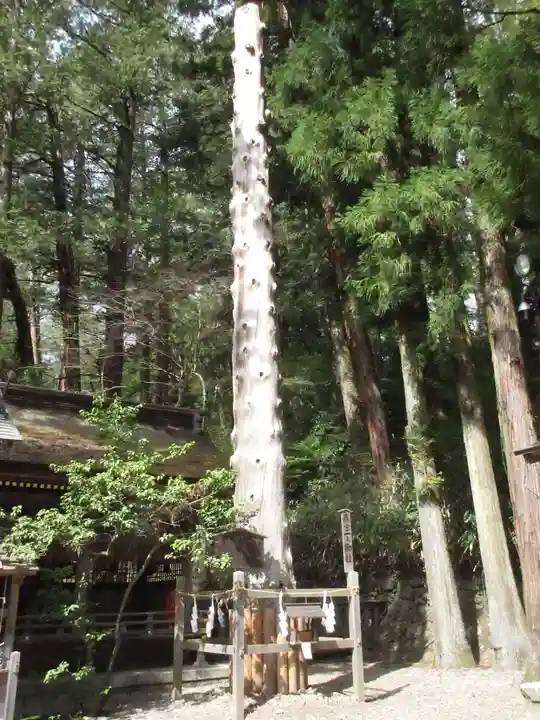 諏訪大社下社春宮のその他建物