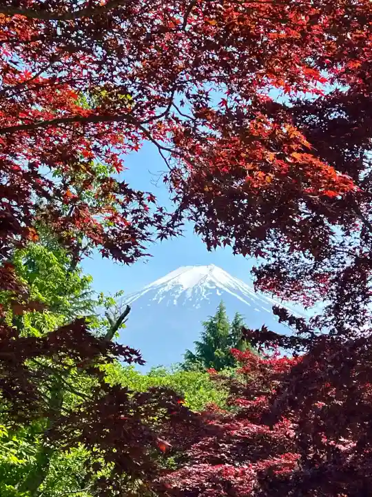 新倉富士浅間神社(山梨県)