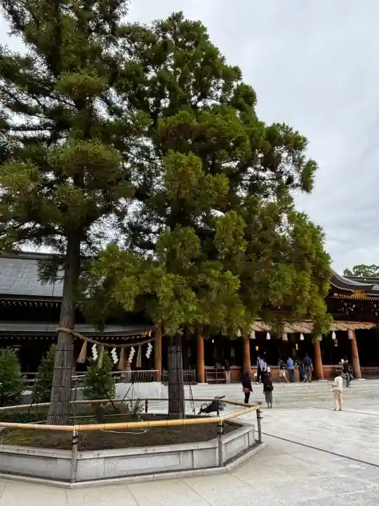 寒川神社(神奈川県)