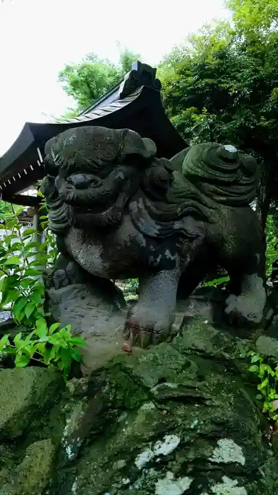菊田神社の狛犬